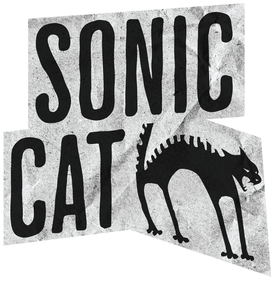 Sonic Cat T‑Shirt — Retro Grunge Cat Graphic Tee