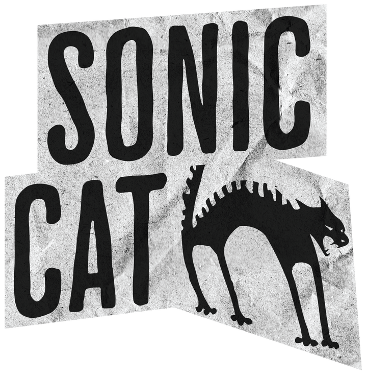 Sonic Cat T‑Shirt — Retro Grunge Cat Graphic Tee